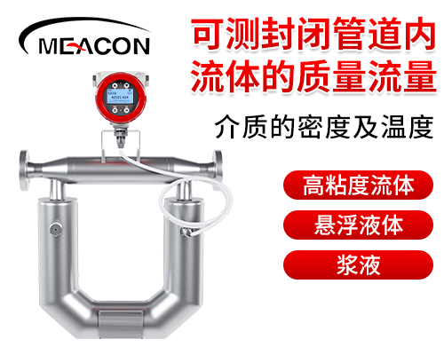 科里奥利质量流量计_直管型-3