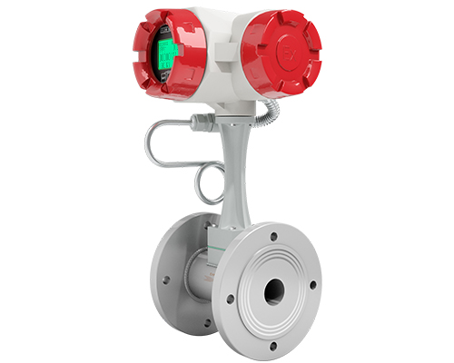 经济款涡街首图2